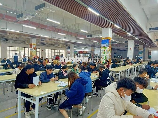 Việc làm chính thức đi làm luôn