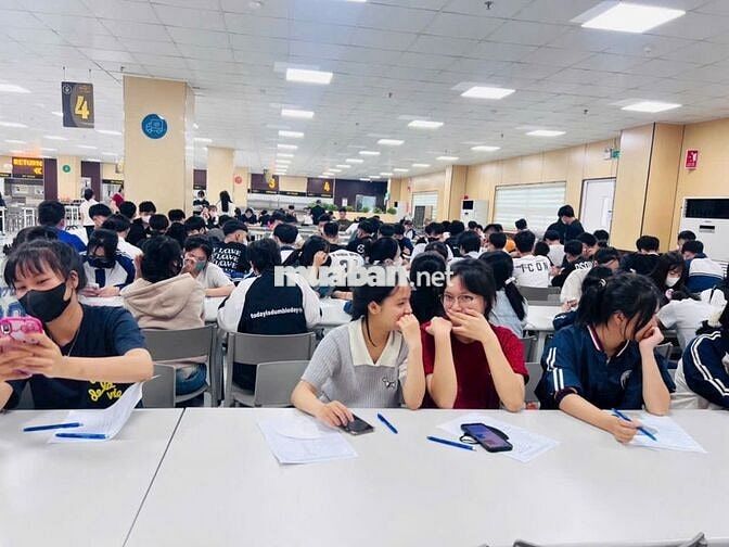 Việc làm thời vụ đi làm luôn