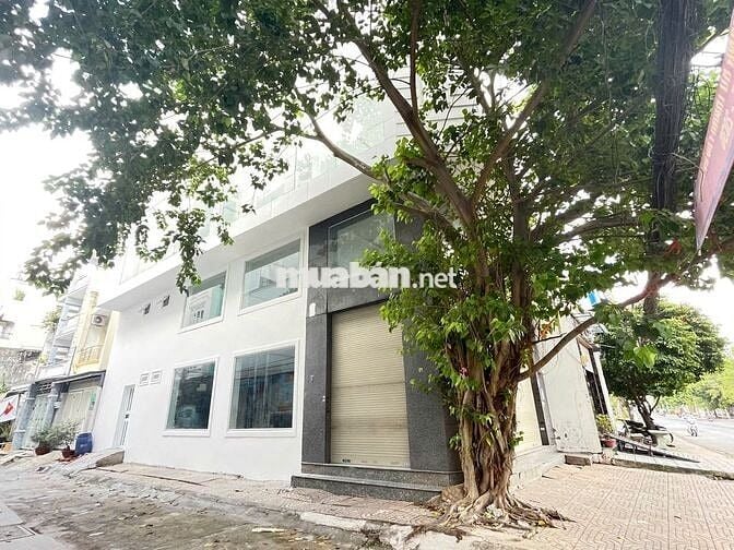  Góc Thoáng Trần Văn Kiểu Có Thang Máy - Gần Bệnh Viện Nam Học Sài Gòn