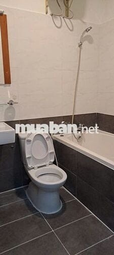 Cho thuê căn hộ Belleza Quận 7