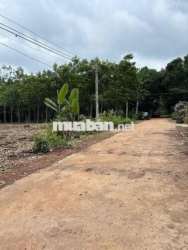 Đất đẹp ngay Sân Gold, Trung Tam Hành Chính Đồng Nai