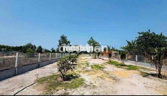 Chủ đổ nợ bán nhanh lô đất đã có rào sẵn giá 220tr