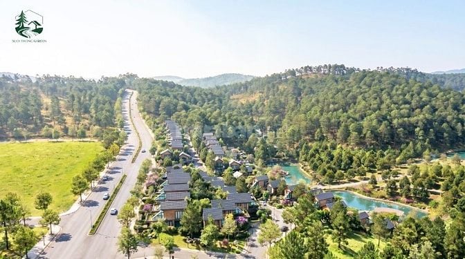 Chỉ từ 1,5 tỷ sở hữu Villa Suối Thông tại Bảo Lộc , thanh toán chậm.