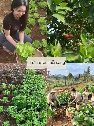 Chỉ từ 1,5 tỷ sở hữu Villa Suối Thông tại Bảo Lộc , thanh toán chậm.