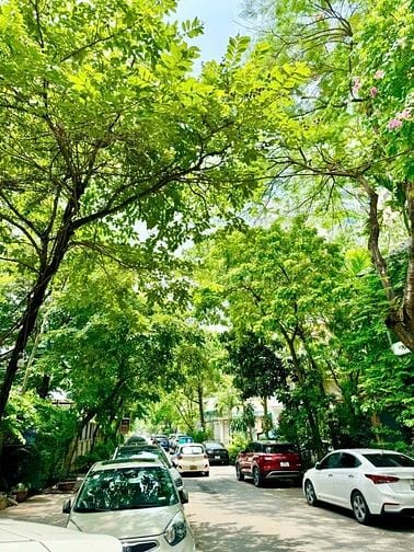 BÁN BIỆT THỰ VIP CẦU GIẤY_3 THOÁNG_GẦN CÔNG VIÊN_220M_MT 13,5M_91 TỶ