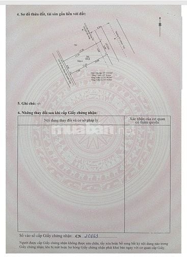 SIÊU PHẨM ĐẤT THỔ CƯ BẾN LỨC - LONG AN