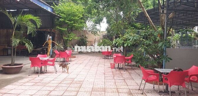 Tuyển nhân viên phục vụ nữ