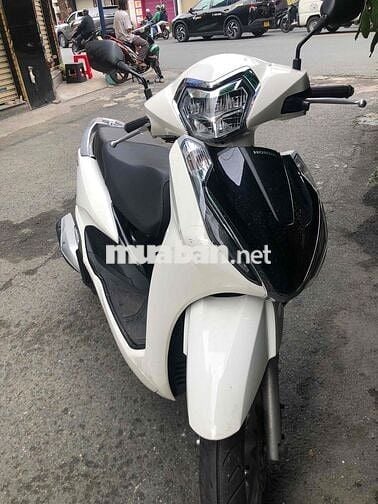 xe mới