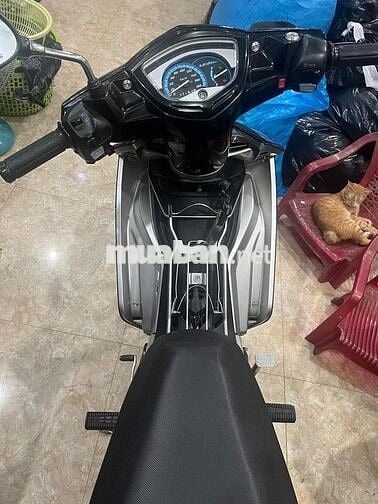 Yamaha Exciter CTD 2009 Xanh đen