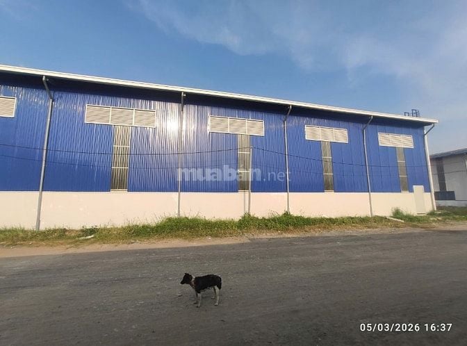 Cho thuê kho chứa hàng linh hoạt  QL 50, Cần Giuộc PCCC động 70k/m2 