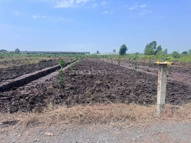 Cần bán sổ đất vườn (11,5×87)m, xe hơi đỗ truóc đất,cao ráo,sổ sẵn,TLg
