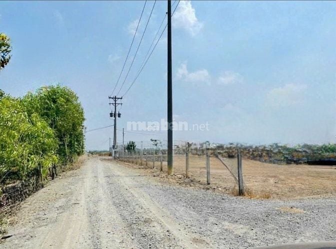 Cần bán sổ đất vườn (11,5×87)m, xe hơi đỗ truóc đất,cao ráo,sổ sẵn,TLg