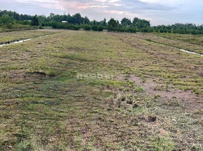 Cần bán sổ đất vườn (11,5×87)m, xe hơi đỗ truóc đất,cao ráo,sổ sẵn,TLg