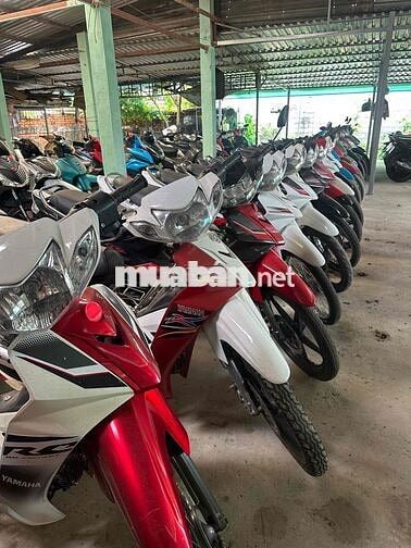 xe 50cc học sinh lớn tuổi không cần bằng lái