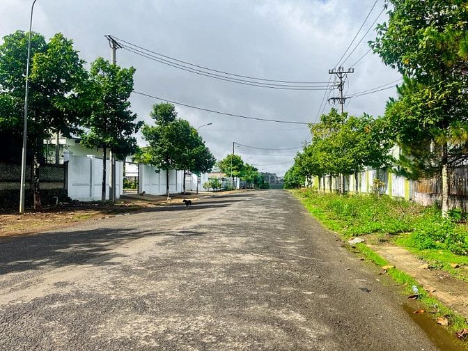 CẦN CHO THUÊ KHO KCN DIÊN PHÚ - GIA LAI - 1560M2
