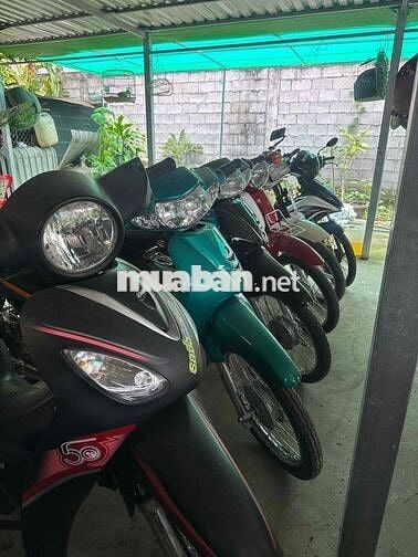 xe 50cc học sinh lớn tuổi không cần bằng lái
