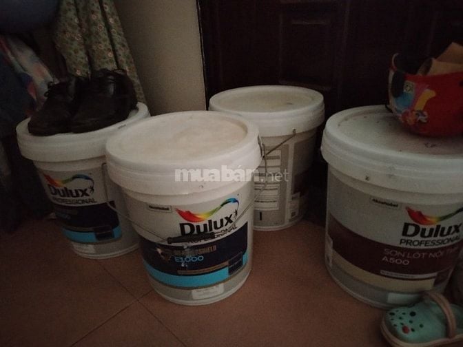 Cần thành lý Sơn dulux mới cần để lại 