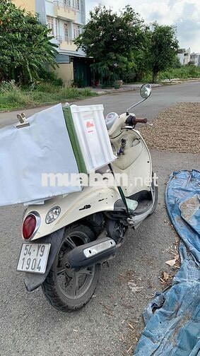 Yamaha Mio Classico 2010 Trắng kem