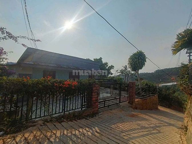 BÁN NHÀ ĐẤT VIEW ĐỒI ĐÀ LẠT – GIÁ 3 TỶ 2