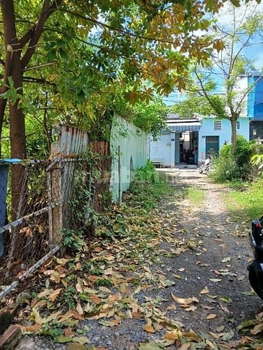 Nhà ở 31m2 , ngang 3.1m dào 10m ,thoáng mát , sát đường phạm văn đồng 