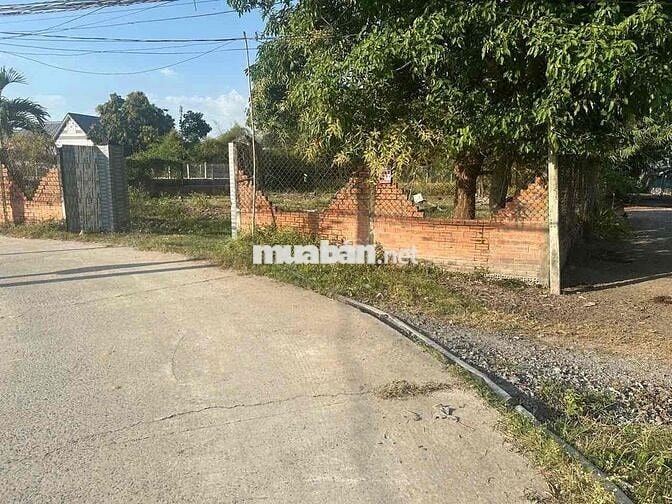 Đất Đức Hoà gần chợ,KCN 1505,7m2 thổ cư đường nhựa 2tỷ850tr Sổ hồng