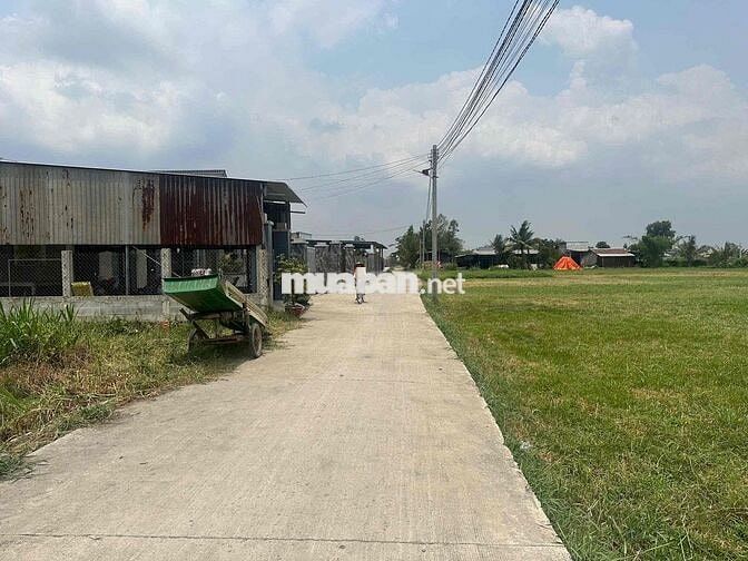 Bán đất 173m² Hiệp Hòa gần Vinhomes giá 1,2 tỷ