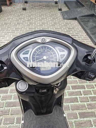 Yamaha Acruzo 2018