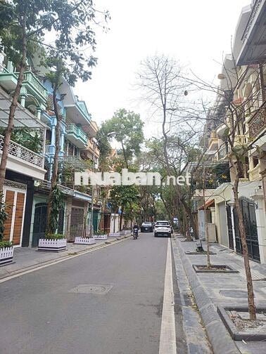 Bán nhà Trần Thái Tông, Cầu Giấy, Nhà dân xây, 50m2, 11,75 tỷ