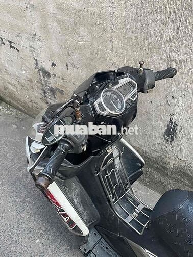Yamaha Nouvo 5 giá rẻ