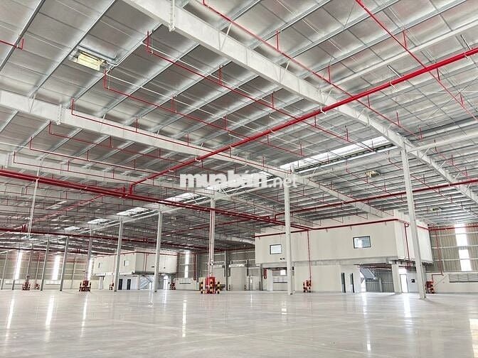 CHO THUÊ NHÀ XƯỞNG MỚI XÂY TẠI KCN TÂN ĐỨC , Đức Hoà Long An 