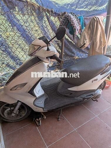 Piaggio Fly Trắng Đã sử dụng