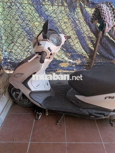 Piaggio Fly Trắng Đã sử dụng