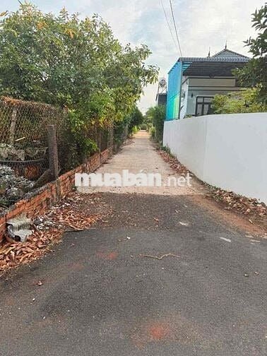 Bán Đất tại Xã Bưng Riềng, 1,95 tỷ, 420m2, còn thương lượng nếu thiện