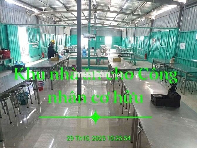 VINGROUP TUYỂN CÔNG NHÂN, BAO ĂN Ở, KO YÊU CẦU KN