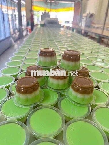 Bán nhà mặt tiền D9 KDC Việt Sing