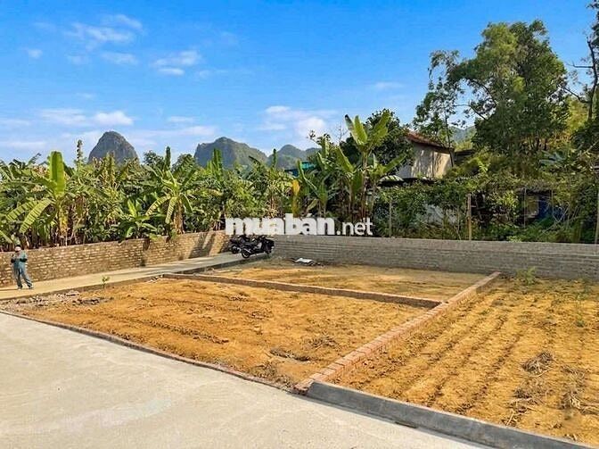 🔥Đất nền khu vực Phường Bạch Đằng🔥