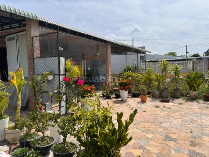 CTY ĐẤU GIÁ HỢP DANH TRỰC TUYẾN VIỆT NAM (VNOA) TỔ CHỨC ĐẤU GIÁ