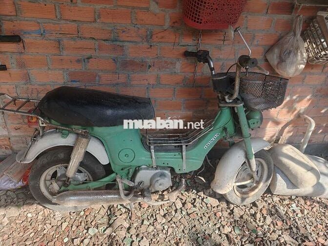 Honda Chaly màu Xanh lá Cũ