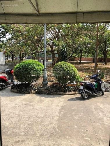 Bán căn Trệt Tanibuliding Sơn kỳ 1 ( 1 trệt 1 tầng lửng), 113m2, 7tỷ 