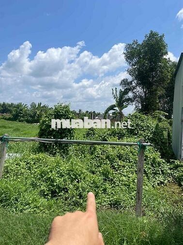 ĐẤT NỀN GIÁ RẺ NHẤT KHU VỰC MỸ HẠNH NGAY GẦN KDC CÁT TƯỜNG PHÚ SINH