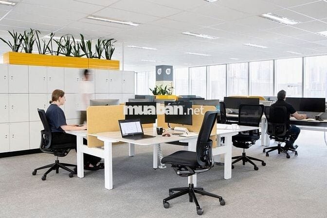 CHÍNH CHỦ CHO THUÊ VĂN PHÒNG 75M2 TẠI CẦU GIẤY