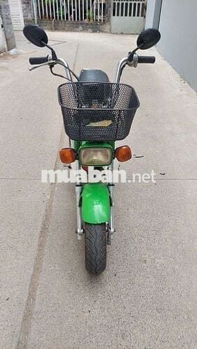 Honda Chaly 81 Xanh lá Đã sử dụng