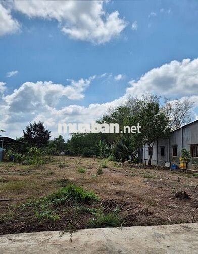 Cần Bán Lô Đất Khu Bắc Sài Gòn 540tr Ngay Trung Tâm Xã An Long TP.HCM