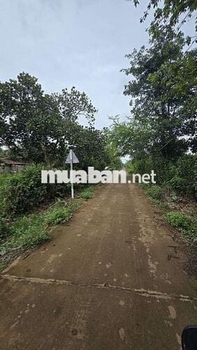 Đất giá tốt, chủ kẹt nợ, nên tách bán 1 phần đất