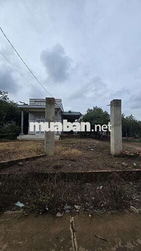 Đất giá tốt, chủ kẹt nợ, nên tách bán 1 phần đất