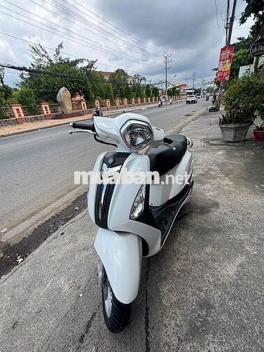 Yamaha Grande màu Trắng
