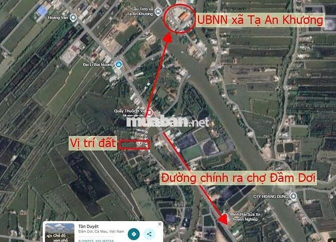 Bán đất trồng cây lâu năm tại Xã Đầm Dơi, Cà Mau