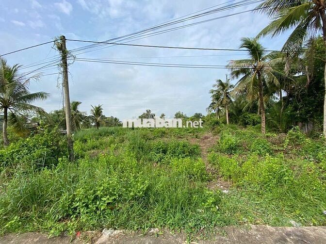 Bán đất trồng cây lâu năm tại Xã Đầm Dơi, Cà Mau
