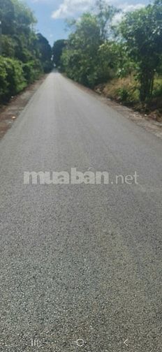 Bán 1,58ha ( 15.817m2) đất 2MT đường Bàu Cạn, xã B Cạn, Long Thành ĐN
