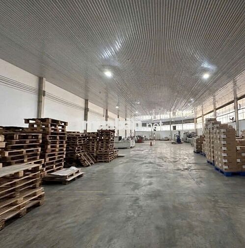 Cho thuê kho Nguyễn Hữu Thọ – 1500m2 – kho đẹp – container 24/7